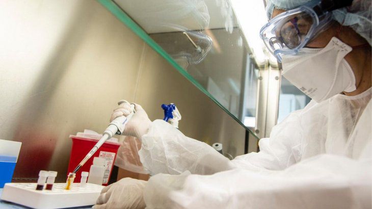 Científicos argentinos descubrieron por qué el coronavirus evade el sistema inmune