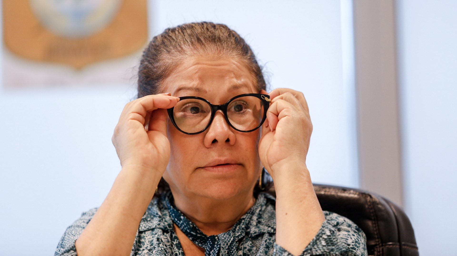 Graciela-Camano-23