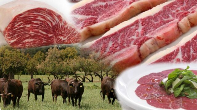 La-exportaciC3B3n-de-carne-vacuna-no-es-el-motivo-de-la-falta-de-este-alimento-en-los-hogares-argentinos