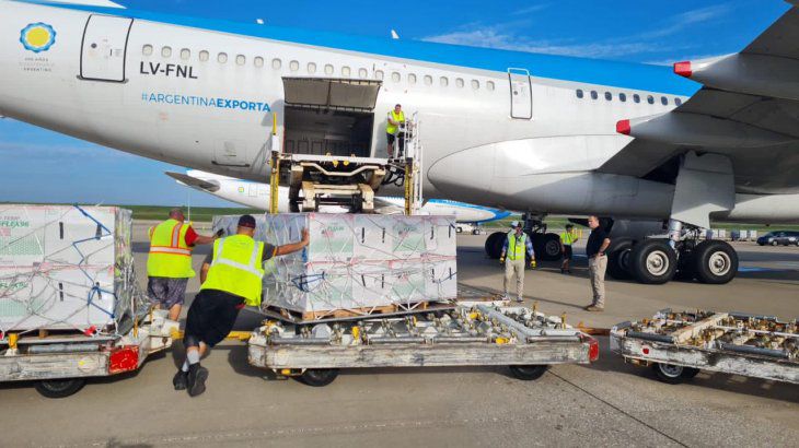 Las vacunas Moderna contra el Covid-19 que arribaron a Argentina serán destinadas a adolescentes. 