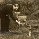 fotoadolfhitler1-150x150-1
