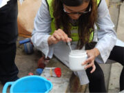 Cómo prevenir las enfermedades transmitida por mosquitos