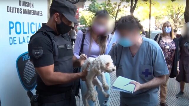 Rescataron-24-perros-de-un-criadero-ilegal-y-detuvieron-a-los-responsables