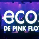 flyecospinkfloyd1-150x150-1