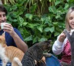 Abrió el primer Gato – Café porteño