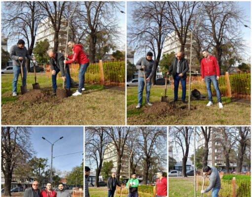 Plantamos un ejemplar junto a la Comuna 11 en la plaza Emilio Ravignani