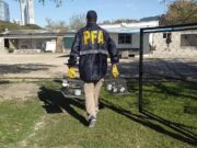 Rescatan aves autóctonas en una casa en el barrio porteño de Villa Devoto