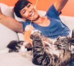 Juguetes caseros: ¿cómo animar a nuestros gatos y compartir un momento de diversión que potencie el vínculo?