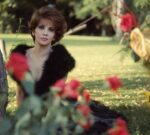 Gina Lollobrigida, los 95 años de una luchadora