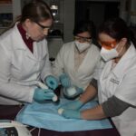 fotomedicos99-150x150-1