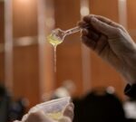 Tres productos para comer sin culpa