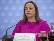 CECILIA MOREAU REEMPLAZARÁ A SERGIO MASSA COMO PRESIDENTA DE LA CÁMARA DE DIPUTADOS