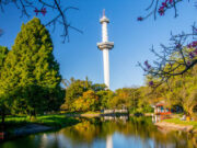 Actividades gratuitas por el 40° aniversario del Parque de la Ciudad