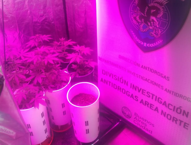 Detienen-en-Palermo-a-un-dealer-que-cultivaba-y-vendia-marihuana