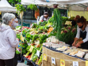Sabe la Tierra en la Plaza en la Plaza Aristóbulo del Valle