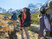 La gente joven le llama más la atencion a las empresas de asistencia al viajero