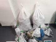 Desbarataron prostíbulo en Retiro: clausuraron seis departamentos y detuvieron al regente