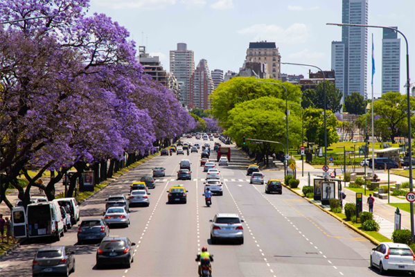 La-Ciudad-se-pinta-de-lila-con-la-floraciC3B3n-del-jacarandC3A1-dC3B3nde-se-ubican-los-principales-corredores