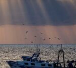 Diversas ONG exigen una «buena» gestión pesquera y acabar con la sobrepesca