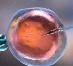 Las mujeres menores de 35 años tienen aproximadamente un 43% de quedarse embarazadas