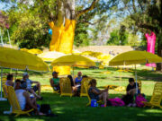 El impresionante Parque de la Ciudad con casi 70 hectáreas al aire libre