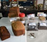 Evalúan el uso de insectos como alternativa de alimentación