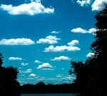 El ecoturismo revitaliza los humedales del nordeste argentino y uruguayo