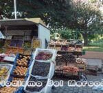 Con una caída del 59%, las condiciones presentes de los productores son las peores de la historia