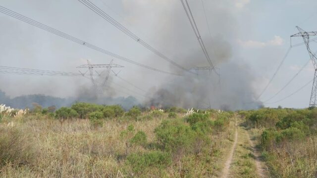 La-Ciudad-desplegC3B3-un-amplio-operativo-ante-el-apagC3B3n