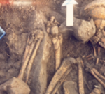 Pescado en dieta mediterránea hace 9.500 años