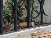 Encuentran una granada de gas en una casa de Villa Devoto