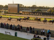 El caballo Clapp con una atropellada a tiempo se quedó con el clásico Otoño