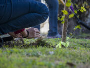 Múltiples Actividades para celebrar la literatura en la 47° edición de la Feria Internacional del Libro