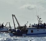 La primera ministra italiana Giorgia Meloni pone un freno a los pedidos de asilo