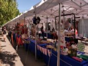 Feria de la economía popular y el cooperativismo en Plaza de Mayo