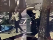 Macabro: Tiro un cachorro a un Contenedor de basura en el barrio de Monte Castro