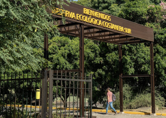 Este-fin-de-semana-llega-ReserBA-Abierta-la-feria-sustentable-de-la-Ciudad