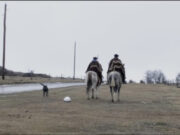 Se viene la cuarta Semana de Cine Latinoamericano en el Cultural San Martín