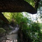 fotobosques2-150x150-1