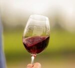 El Mejor Viñedo del Mundo es argentino