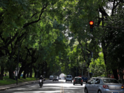 Día del Árbol en la Ciudad con plantaciones, visitas al vivero, charlas y mucho más