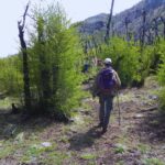 fotoINTA-hombrebosque1-150x150-1