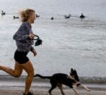 Los humanos contagiamos Covid a nuestras mascotas pero ellas a nosotros, no