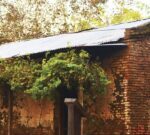 El Pueblo Rural de Carlos Beguerie cumple 111 años