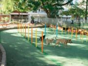 Se suman nuevos caniles en las Comunas de la Ciudad