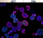 Identifican la reacción química que pudo haber dado origen a la vida