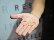 Recuperan una cadenita robada en Recoleta y se la entregan a su dueña