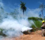 Misiones continúa con los operativos para prevenir el aumento en los casos de dengue