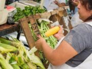 En tiempos de bolsillos flacos conocé las ofertas de las Ferias de la Ciudad