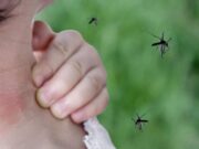 Confirmaron los primeros casos de dengue en la Comuna 11